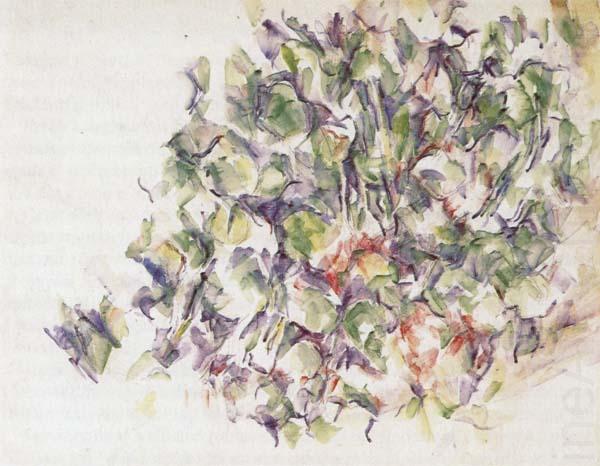 Foliage, Paul Cezanne